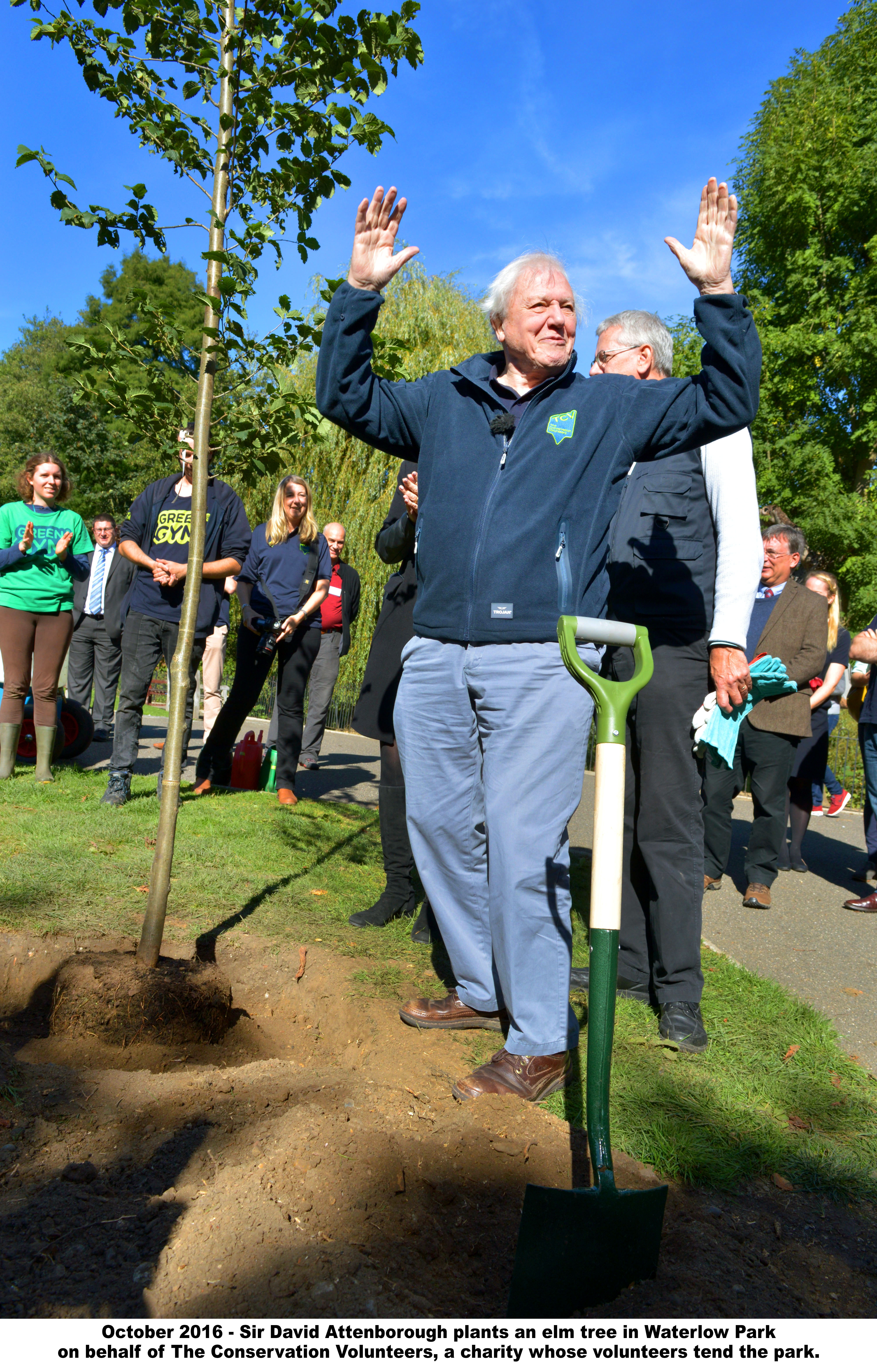 David Attenborough with small tree