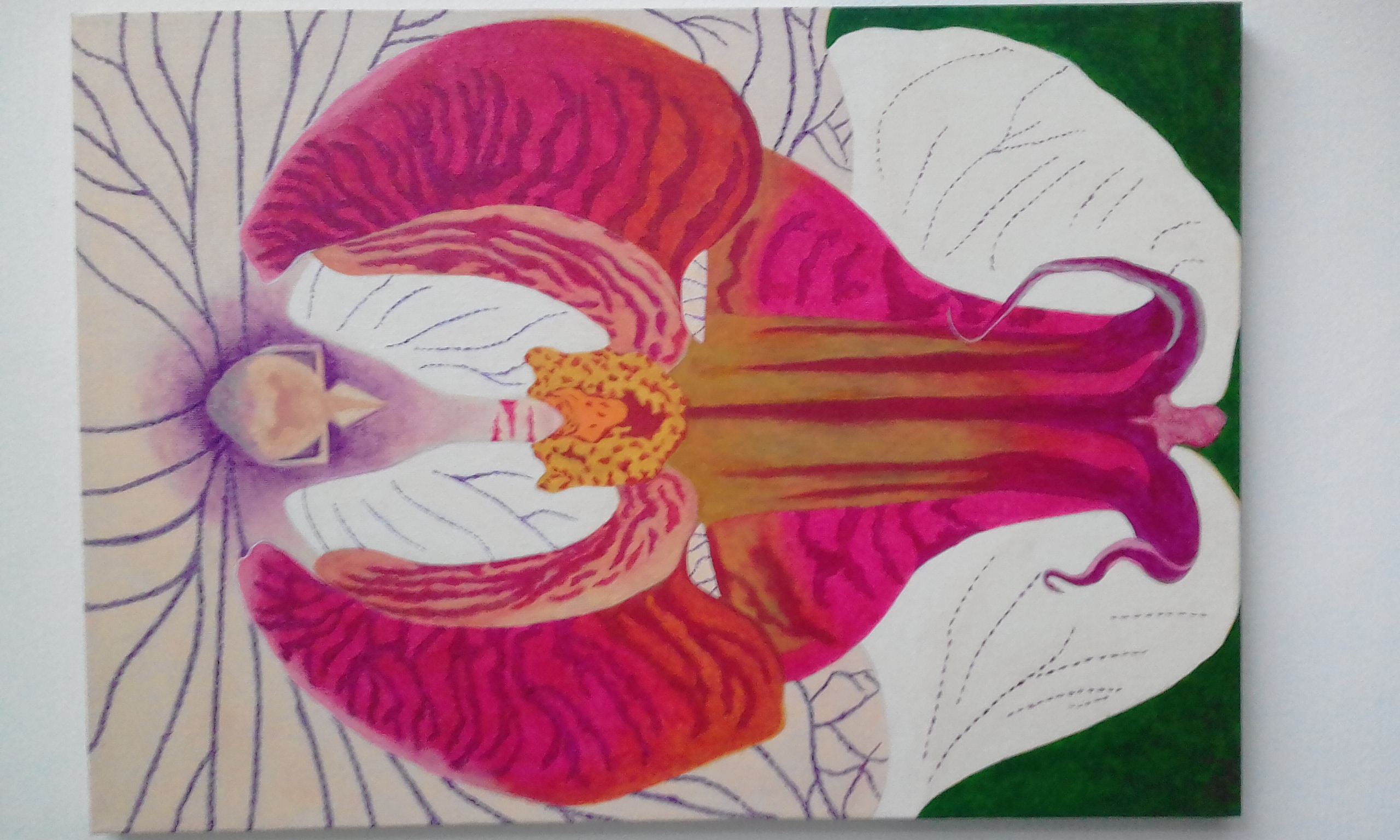 Angel Orchid