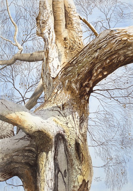 Work by artist David MacKenzie