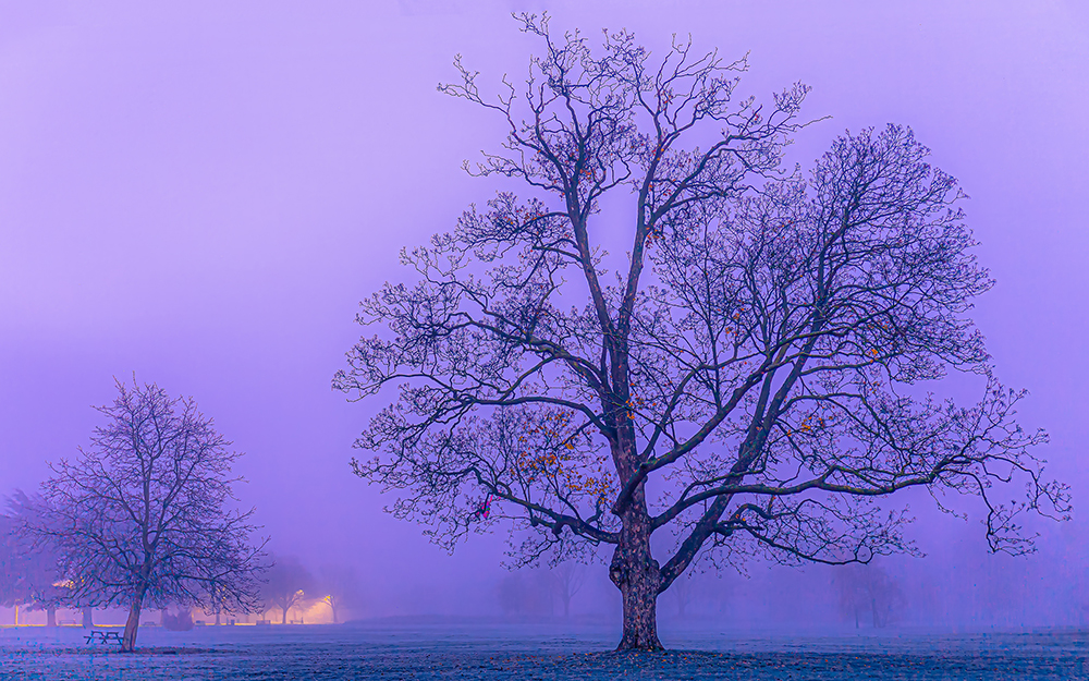 Little and Large by Brian Connolly