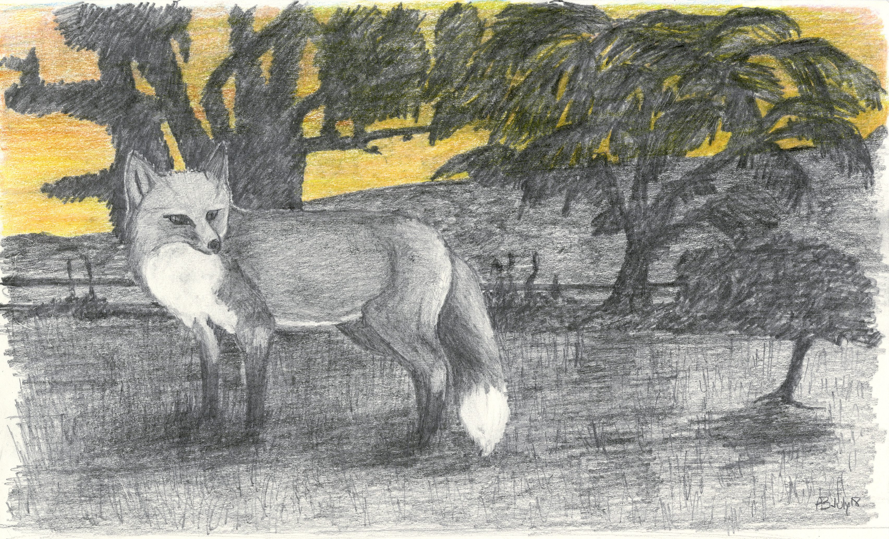 'Twilight Fox'