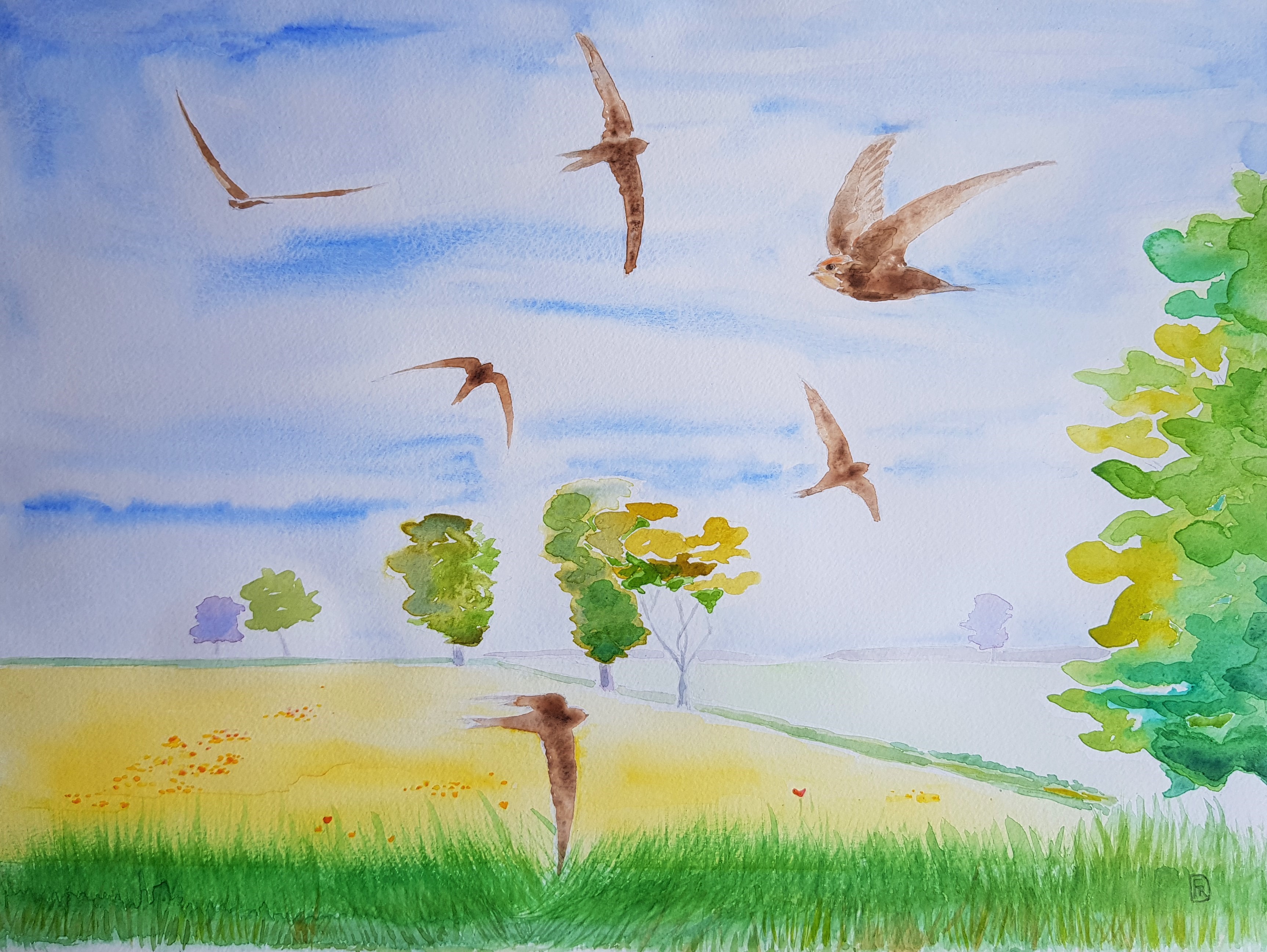 Watercolour of birds in a field