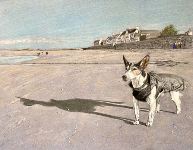 Dog on a Beach by Mark Maier