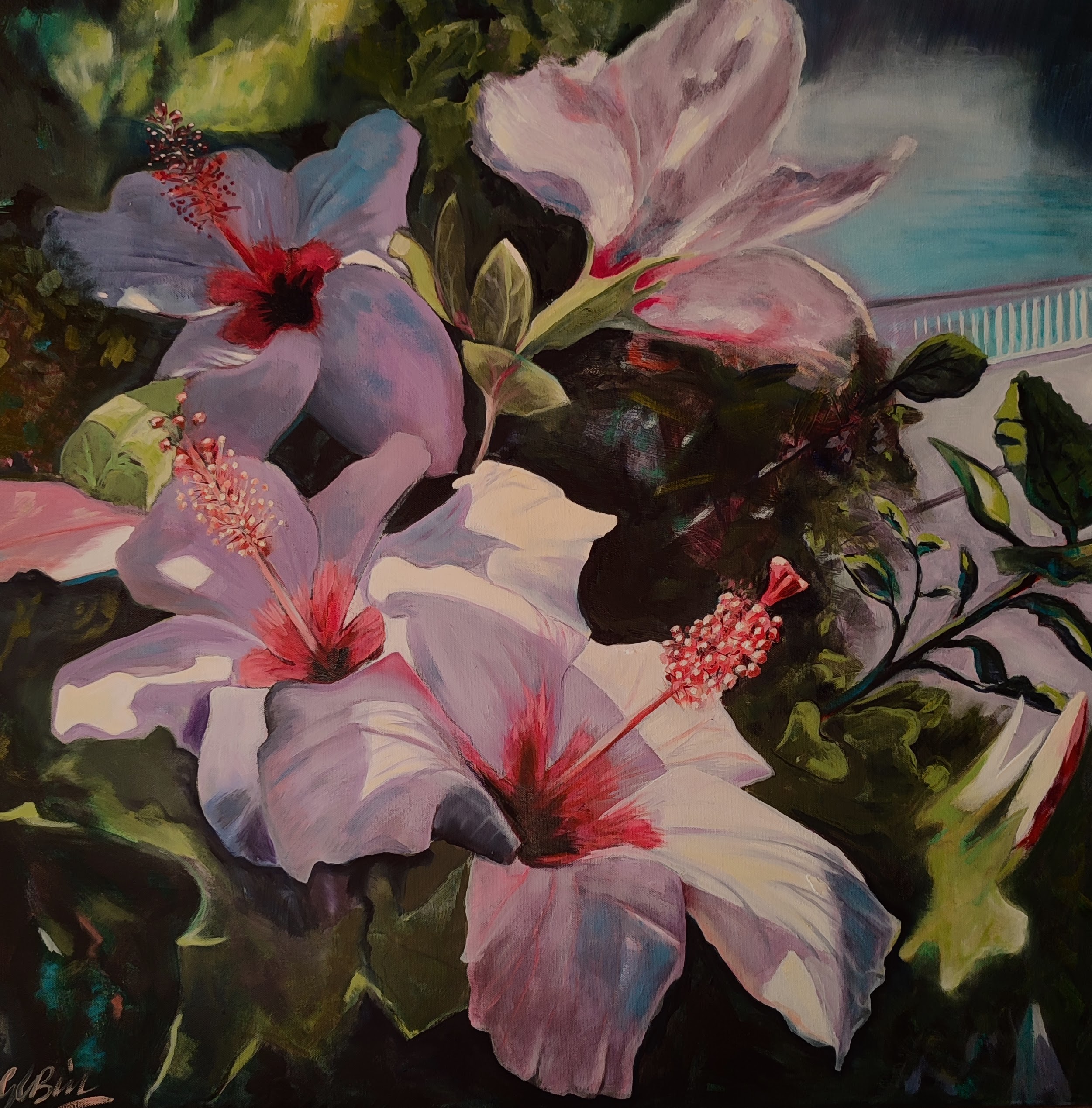 Hibiscus in Italy