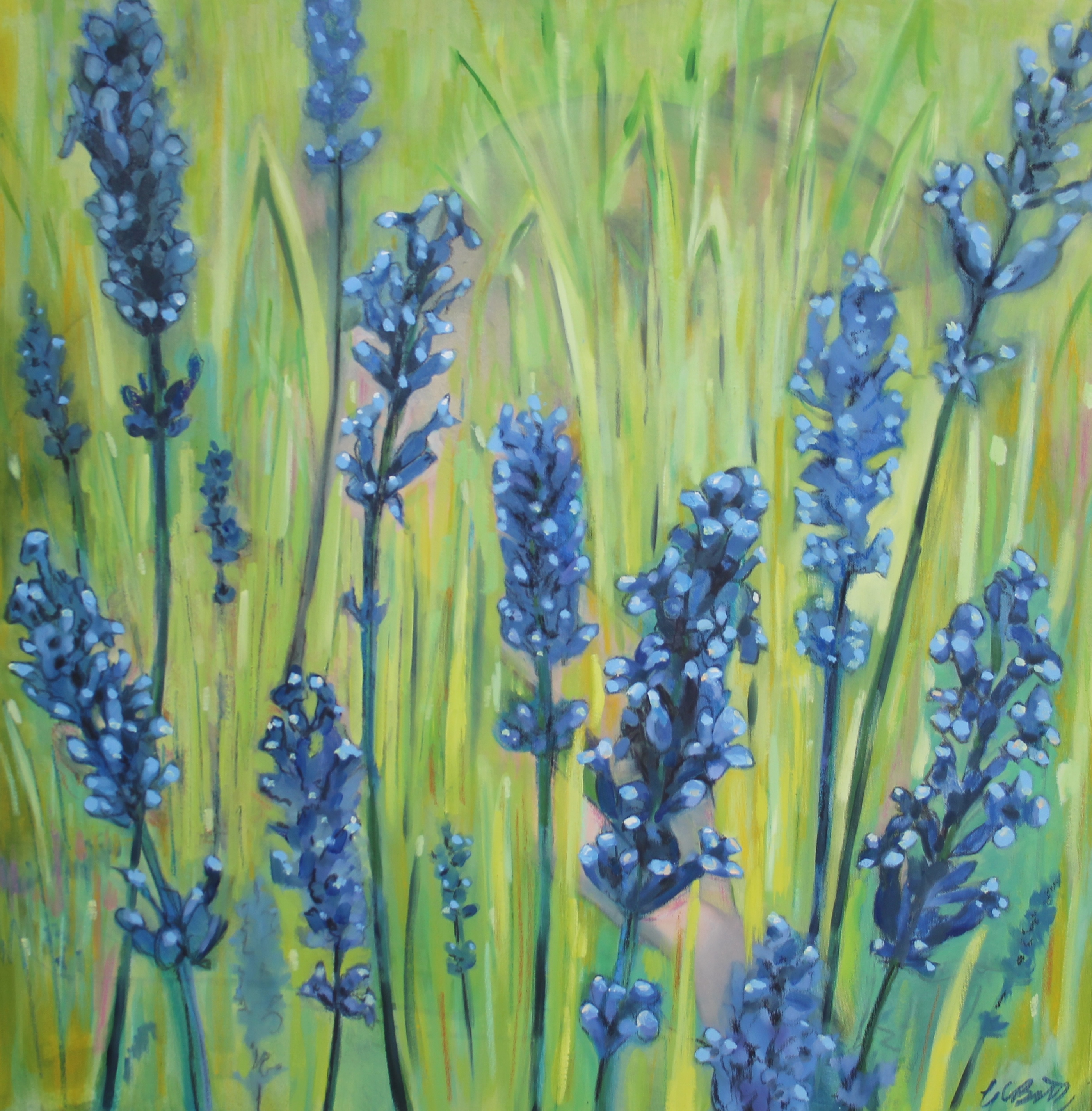 Sunbathing in the lavender field