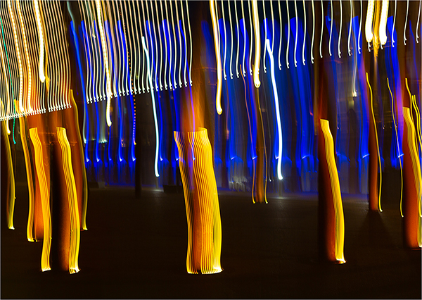 Labyrinth of Light by Roger Ford