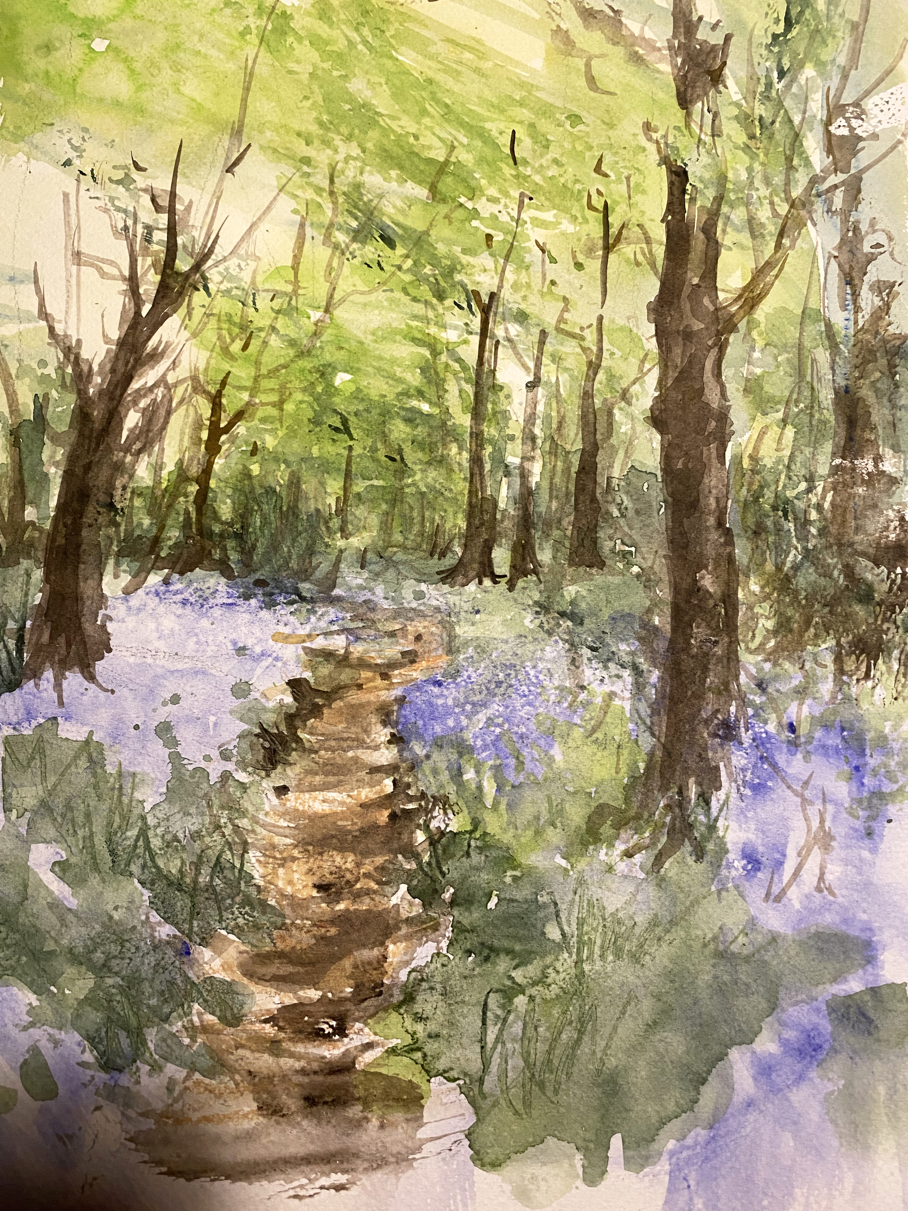 'Walk With Bluebells' by Maureen Bocking