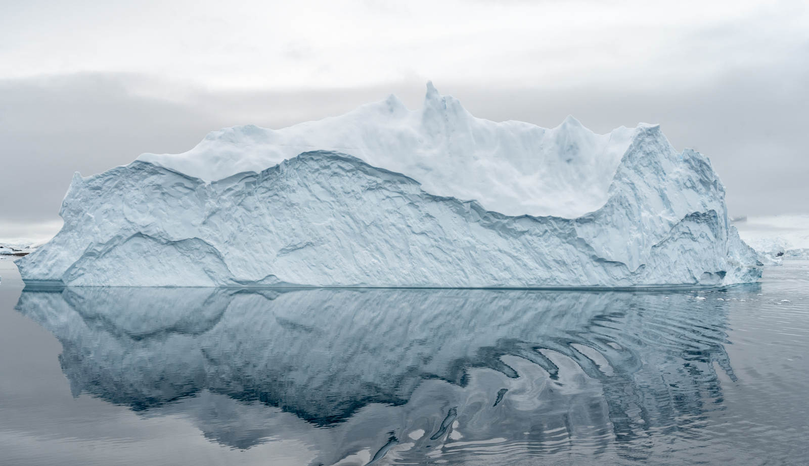 Iceberg by Andrew Gasson