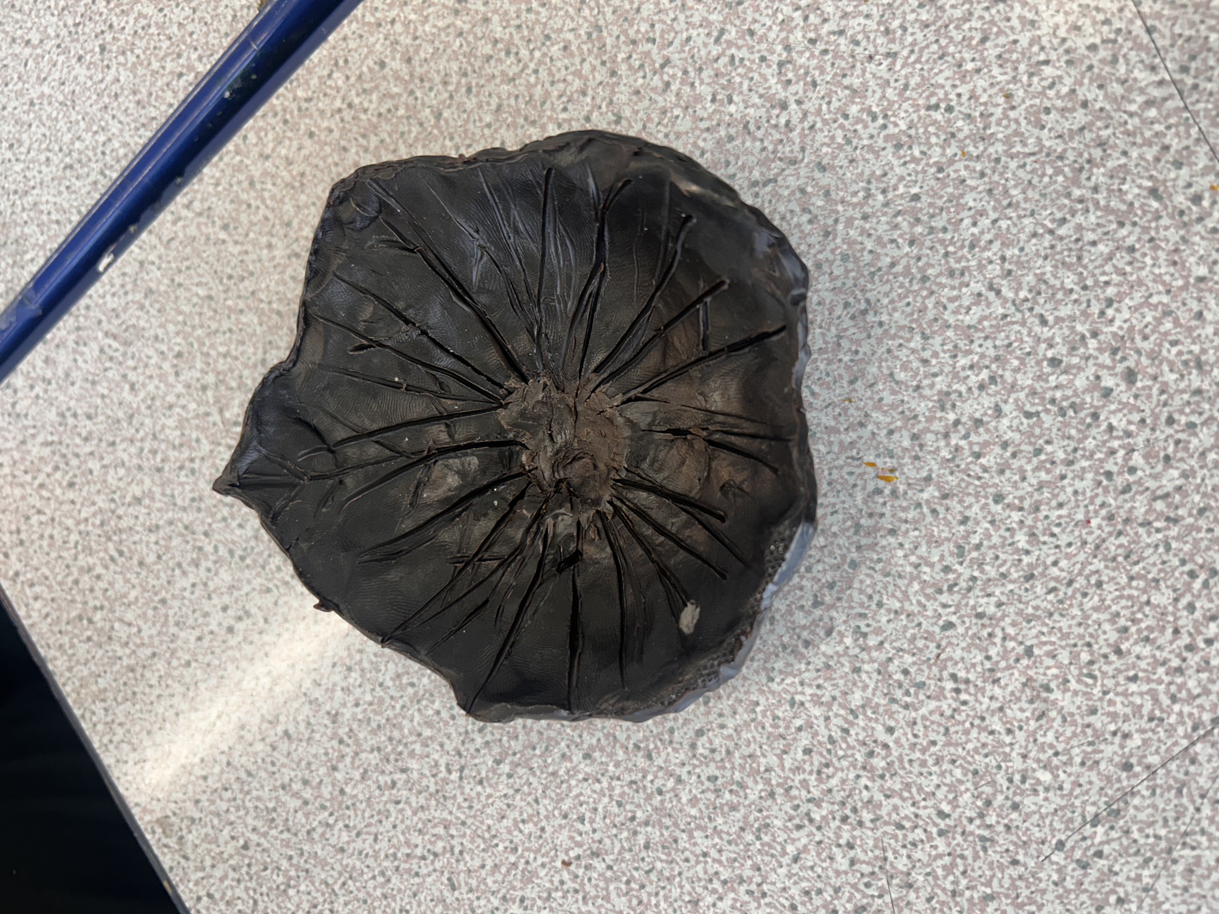wax sculpture with organic, flower-like form