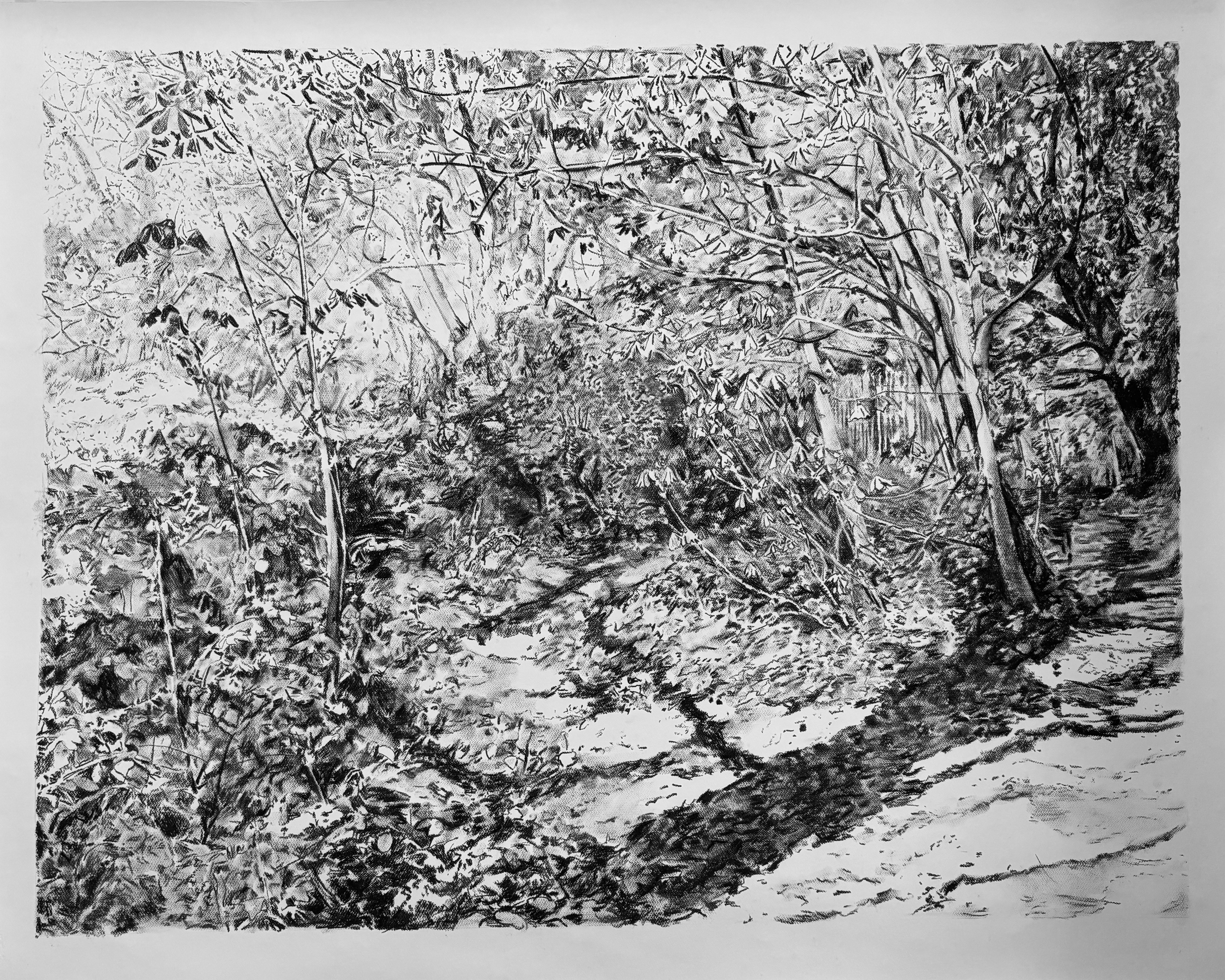Charcoal drawing of Hampstead by Susanna Burton