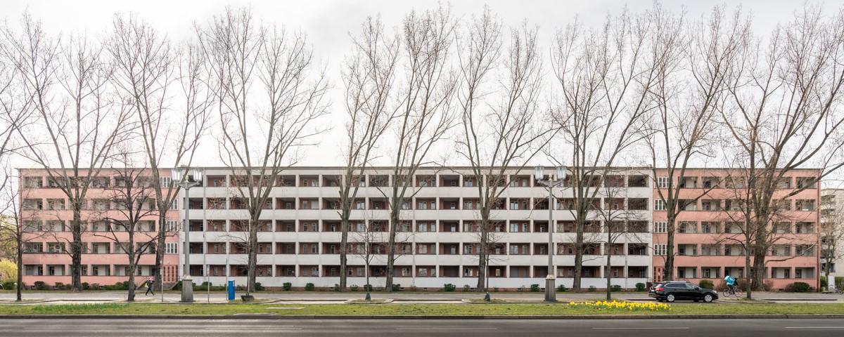 photograph of concrete buildings behind barren trees