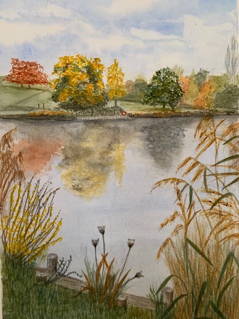 Pond landscape by Ann