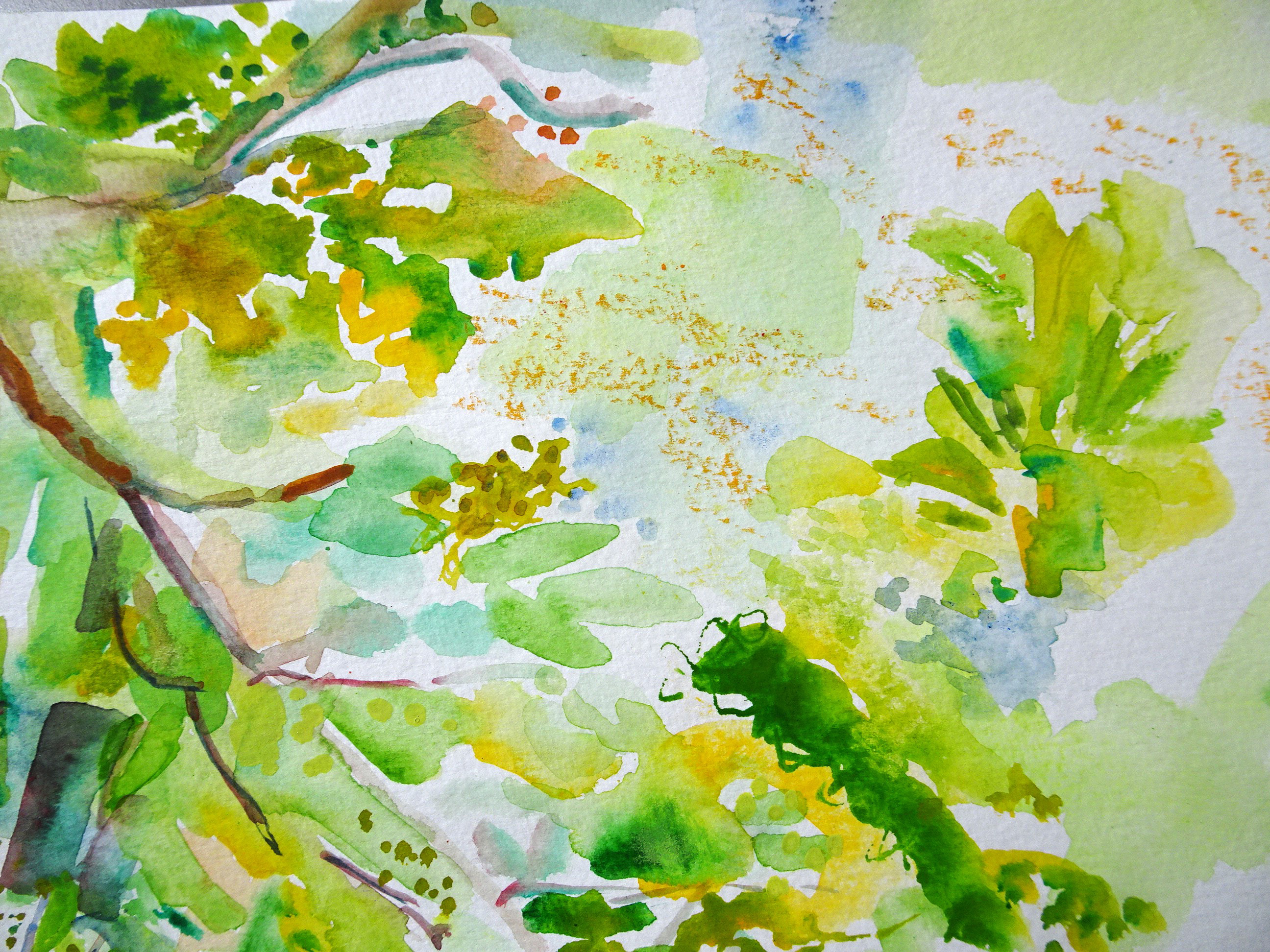 By Freda Blayney