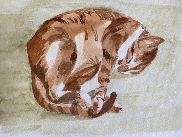 Cat by Sandra