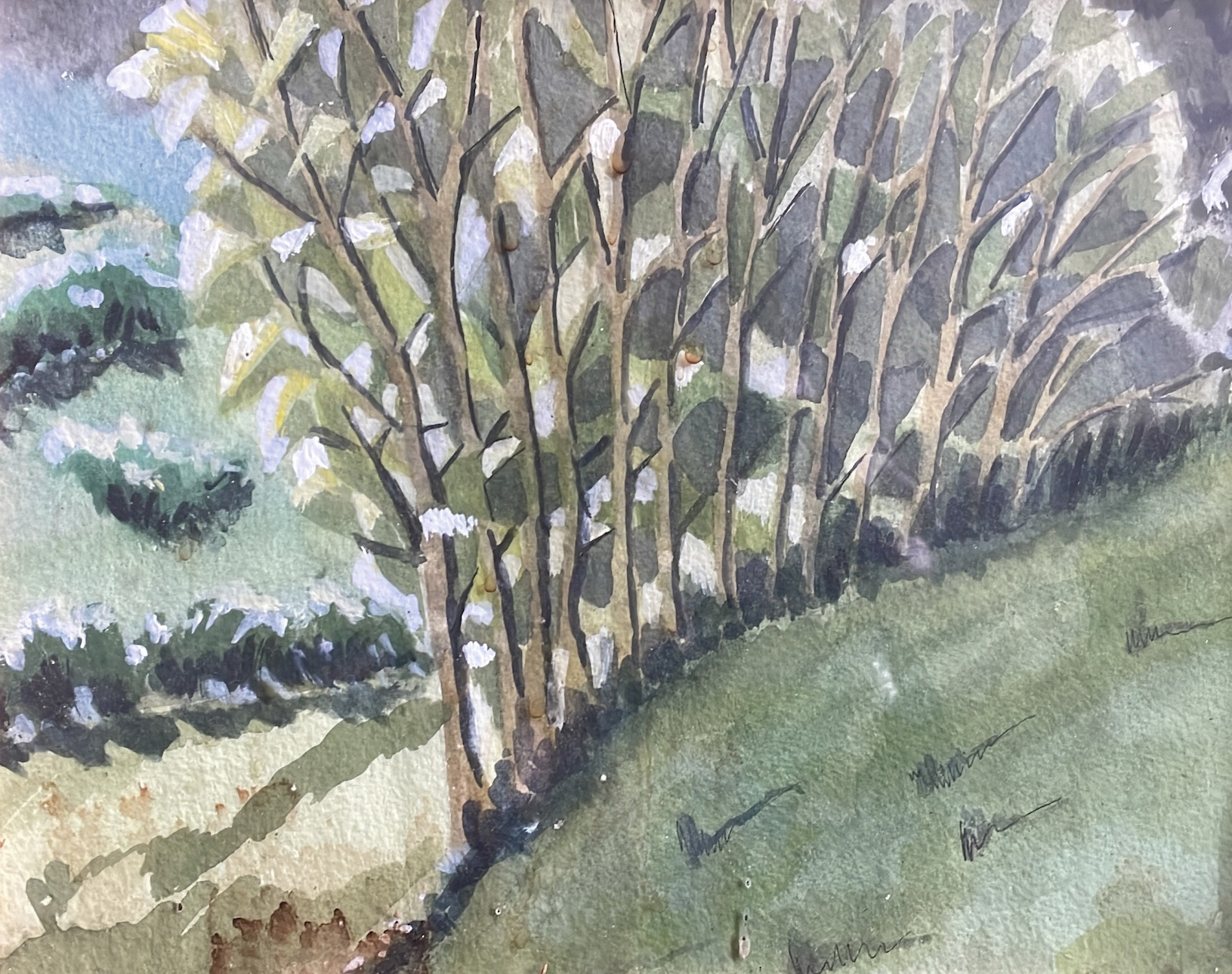 Treeline by Shirley Hodgson