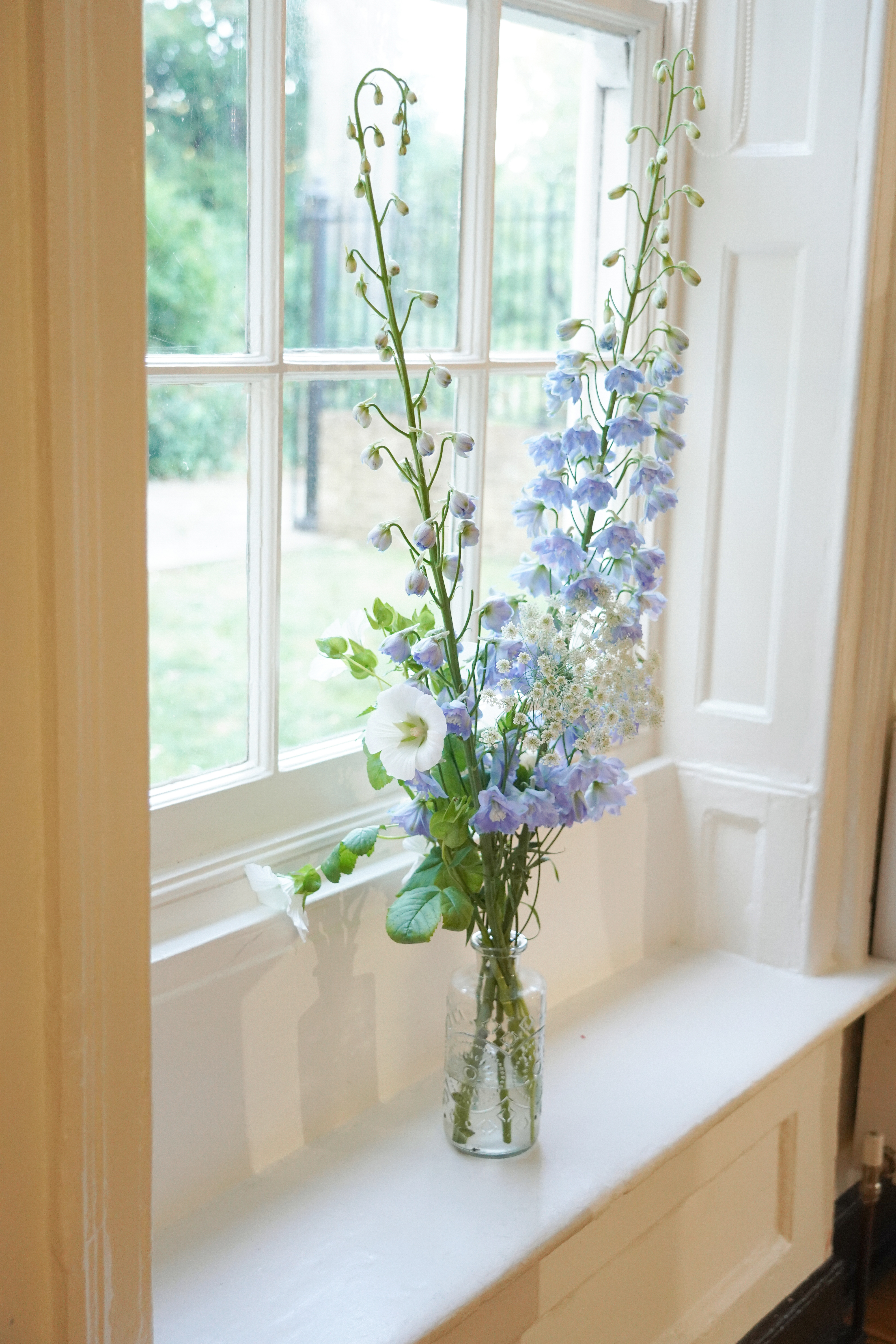 Flowers in the Entrance Hall sash window  Credit: Elvira Azimova