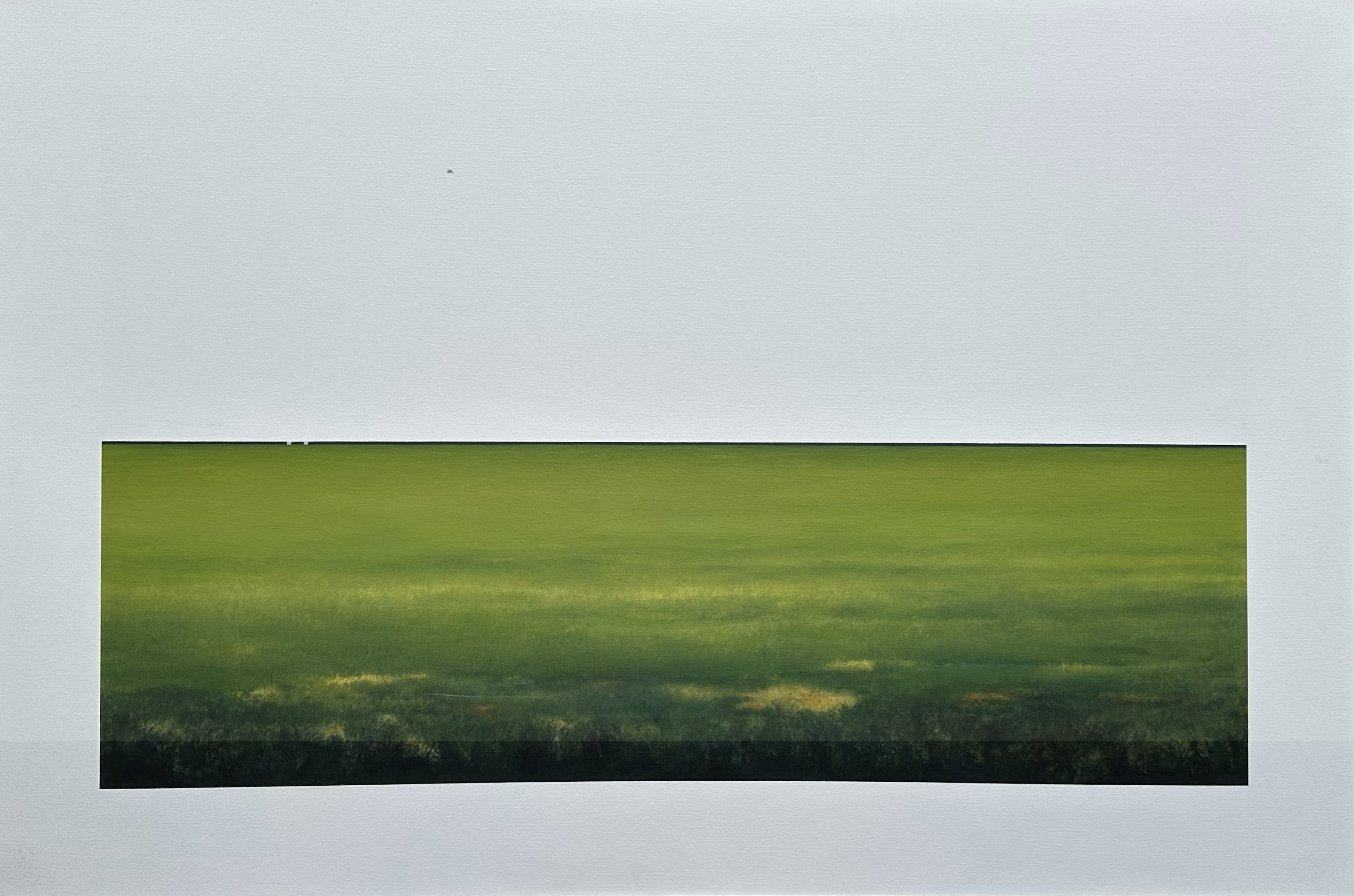 Landscape Duet; Looking at Field Oblivious of Sky