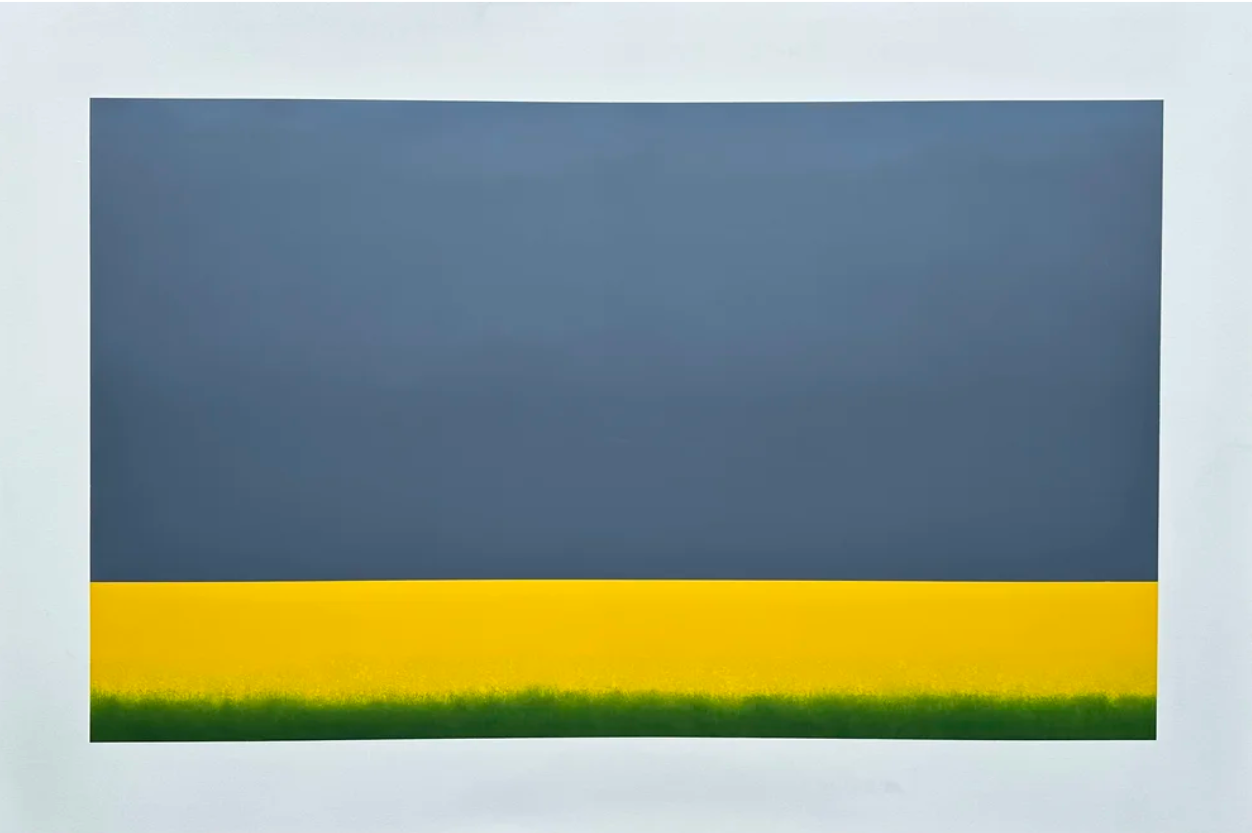 Yellow Field Green Frieze