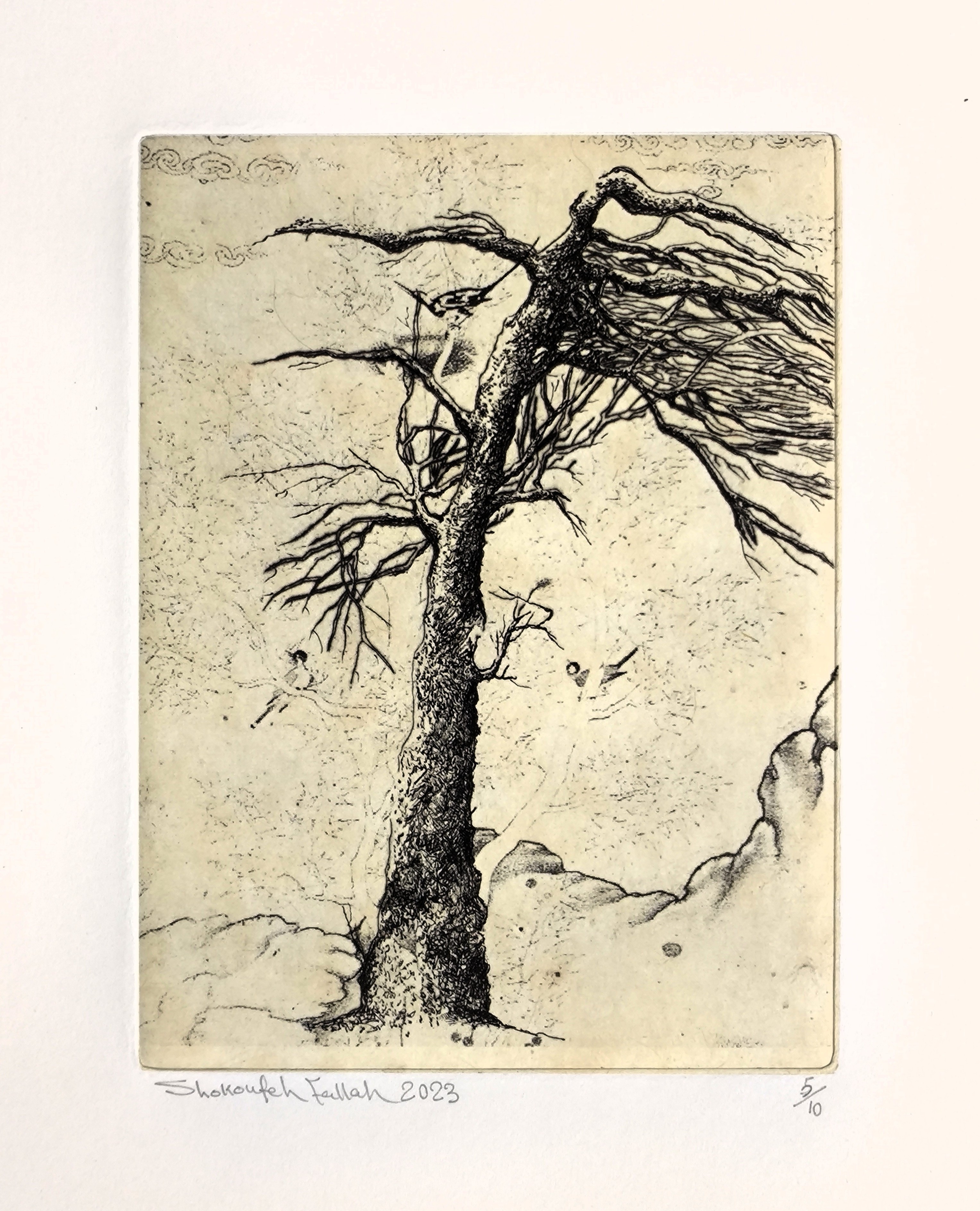 Print by Shokoufeh Fallah