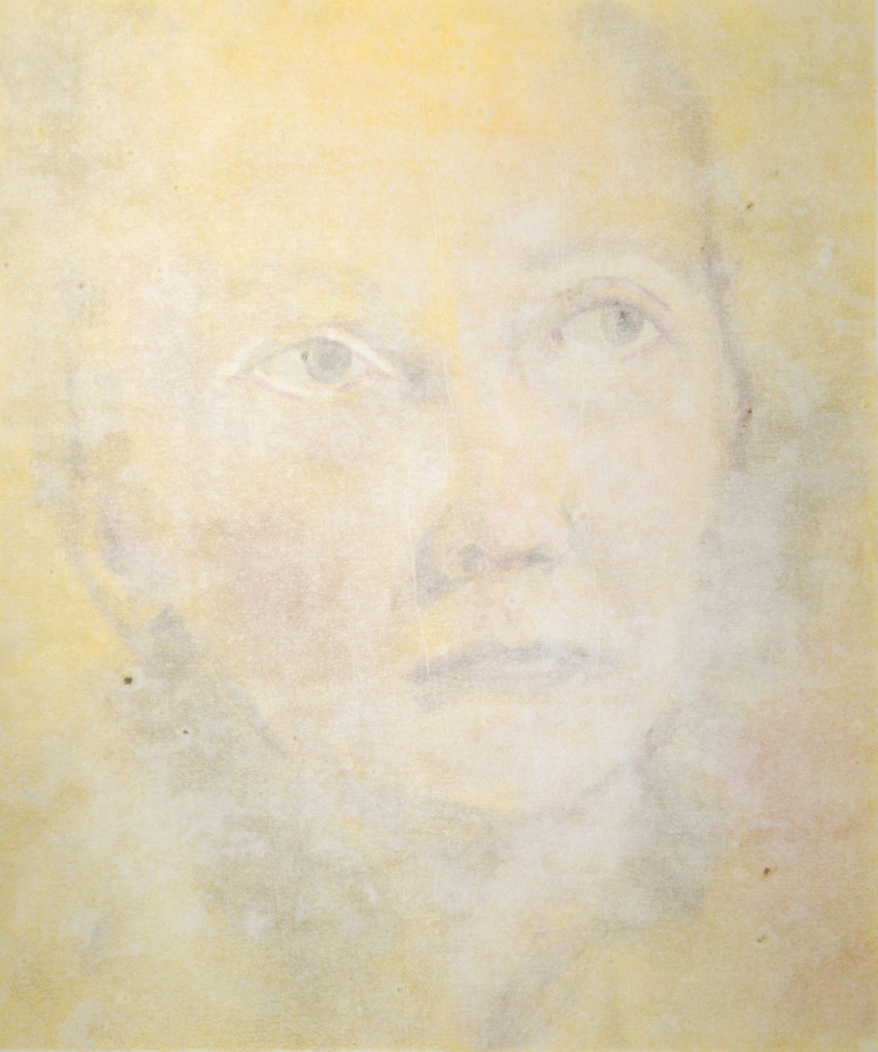 Golden Light by Sonia Thomas