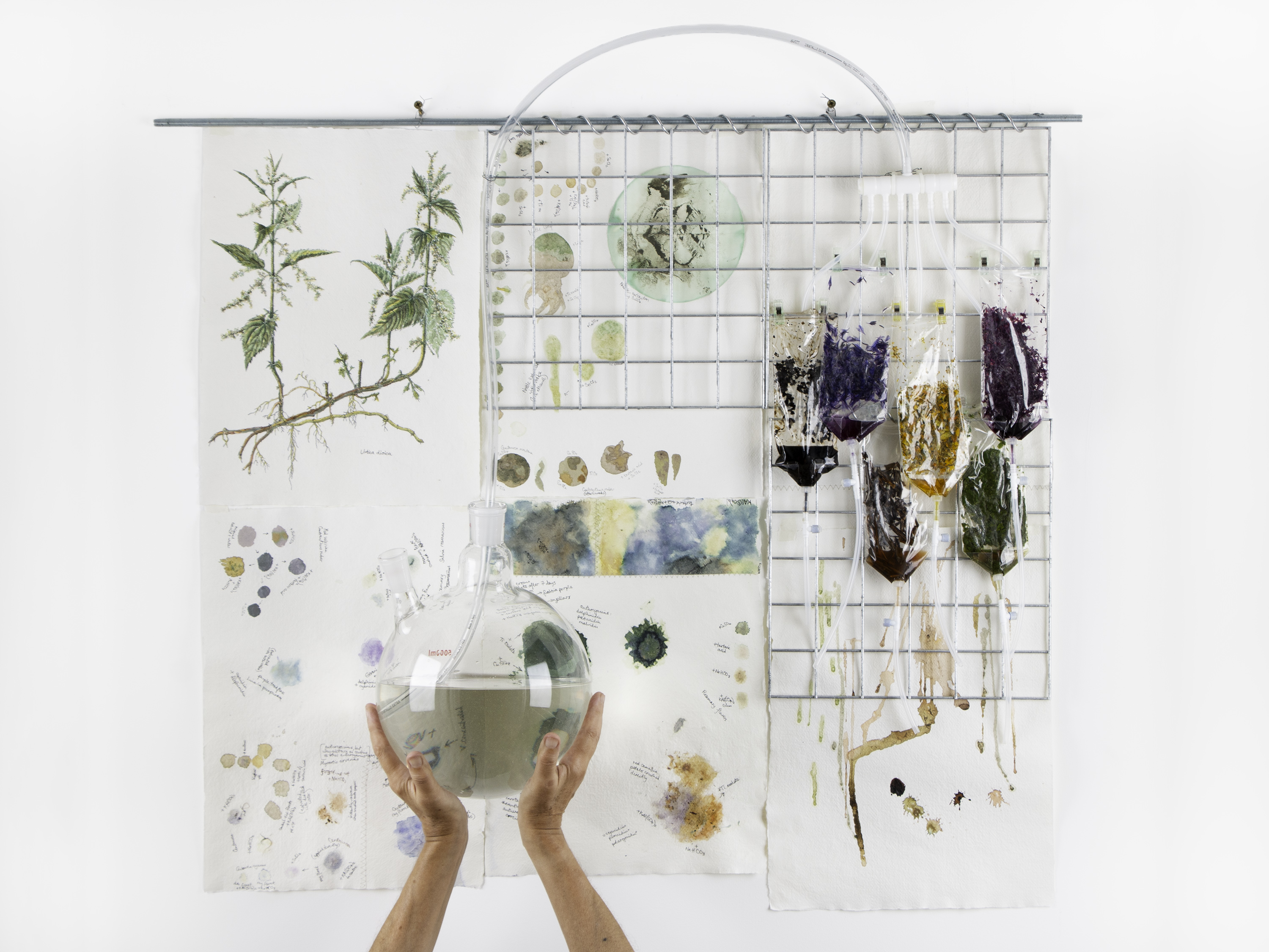hanging display of different nature-related items