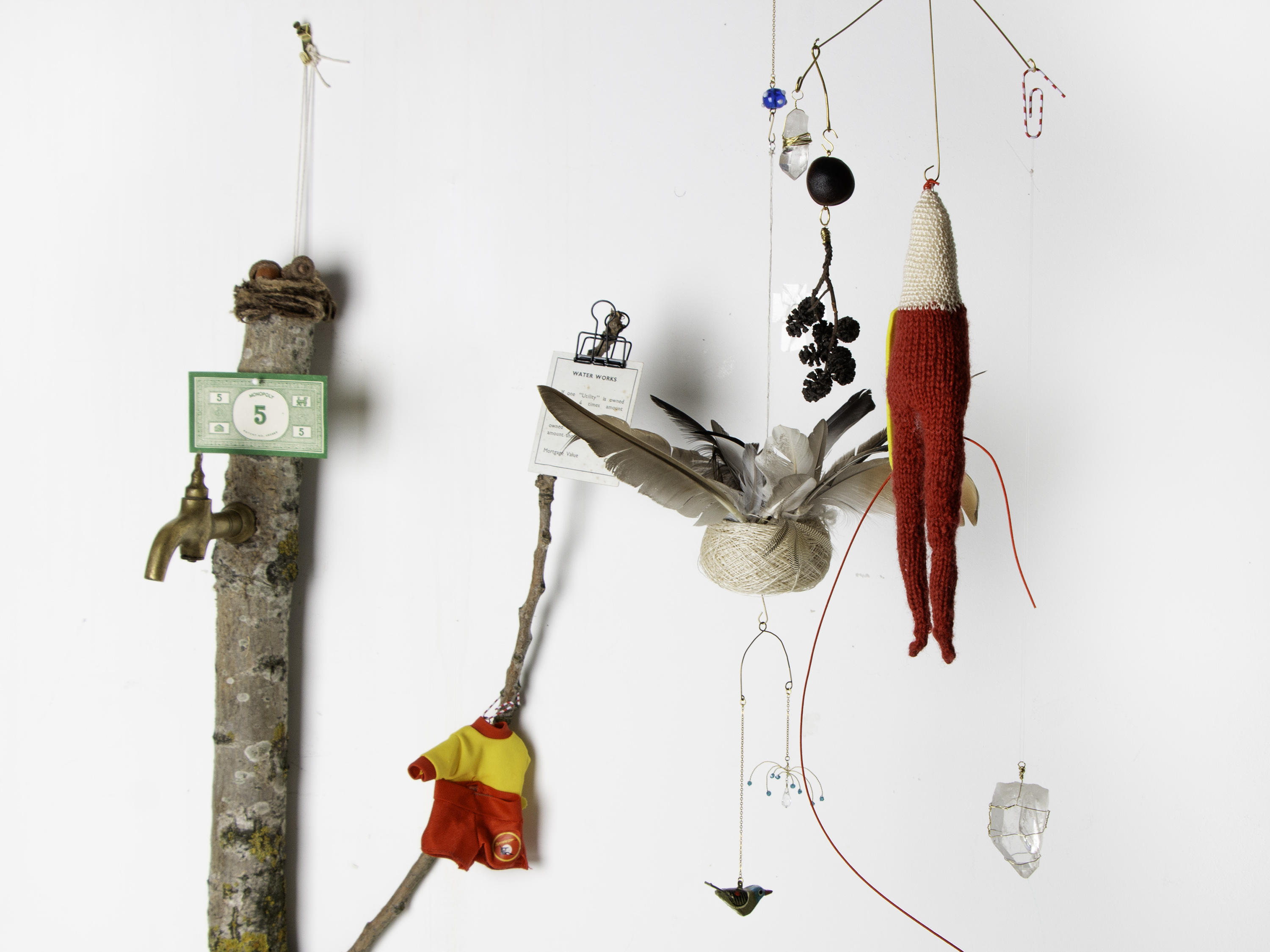 Display of various nature-related items