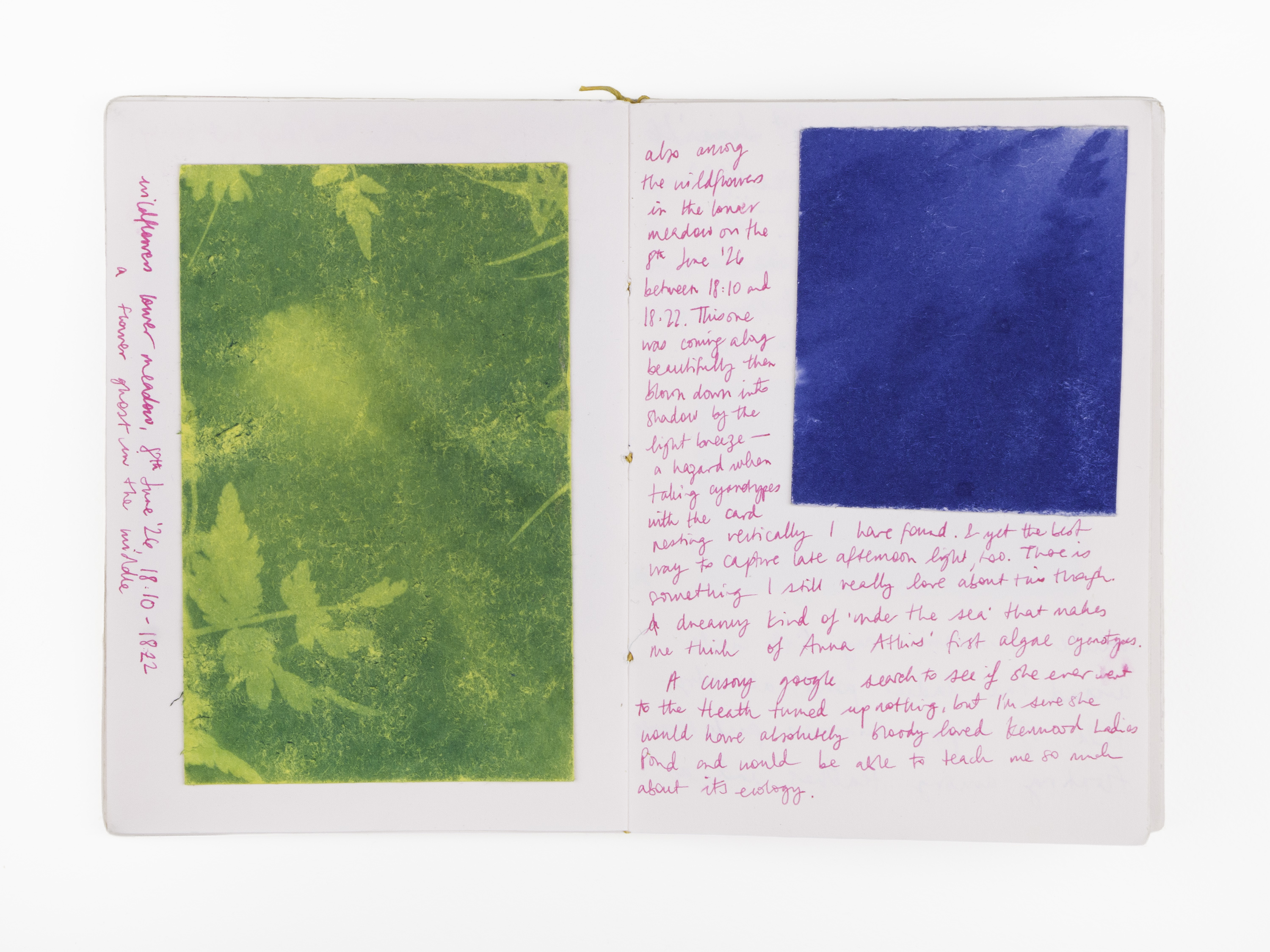 image of written notebook with various prints in blue and green