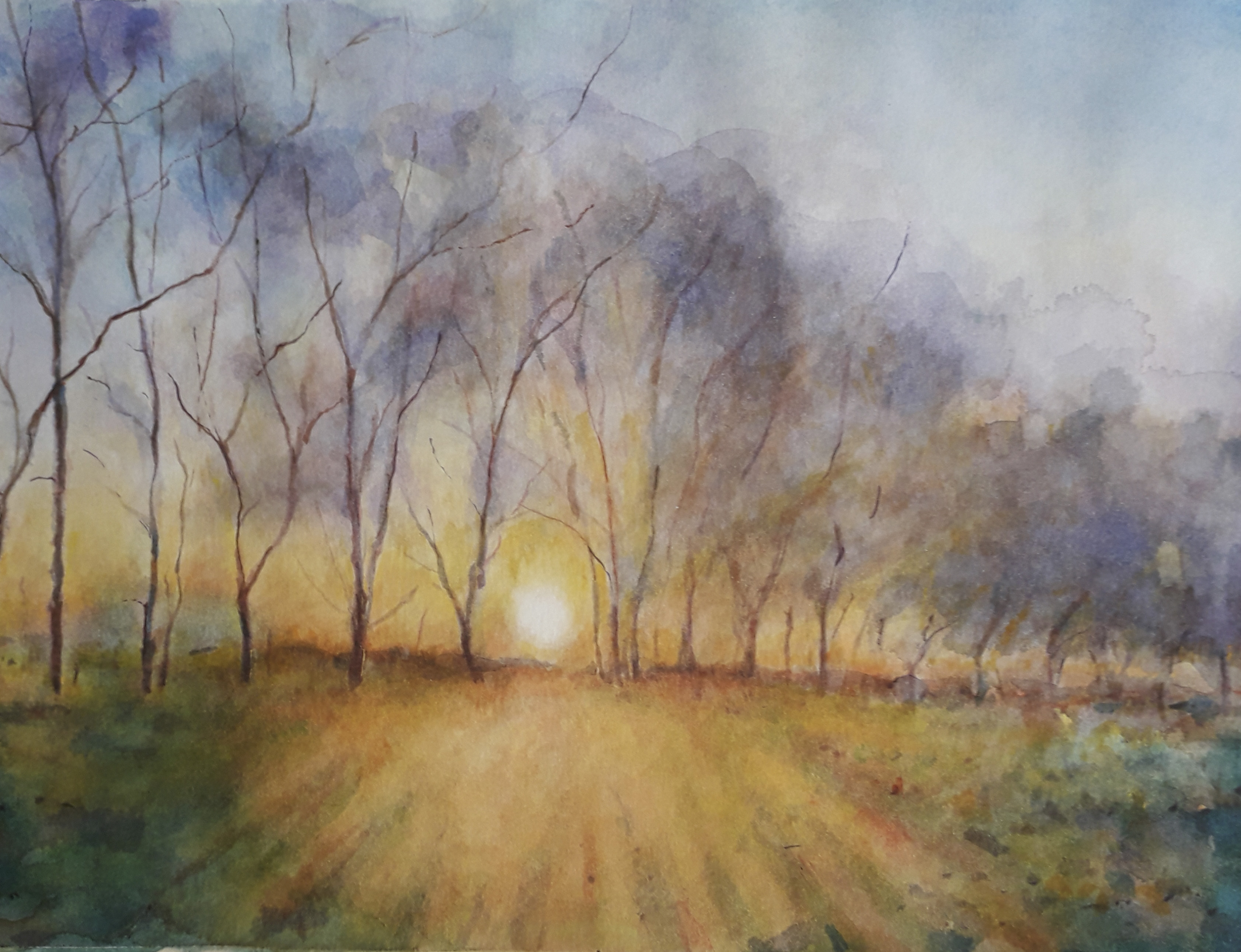watercolour forest image