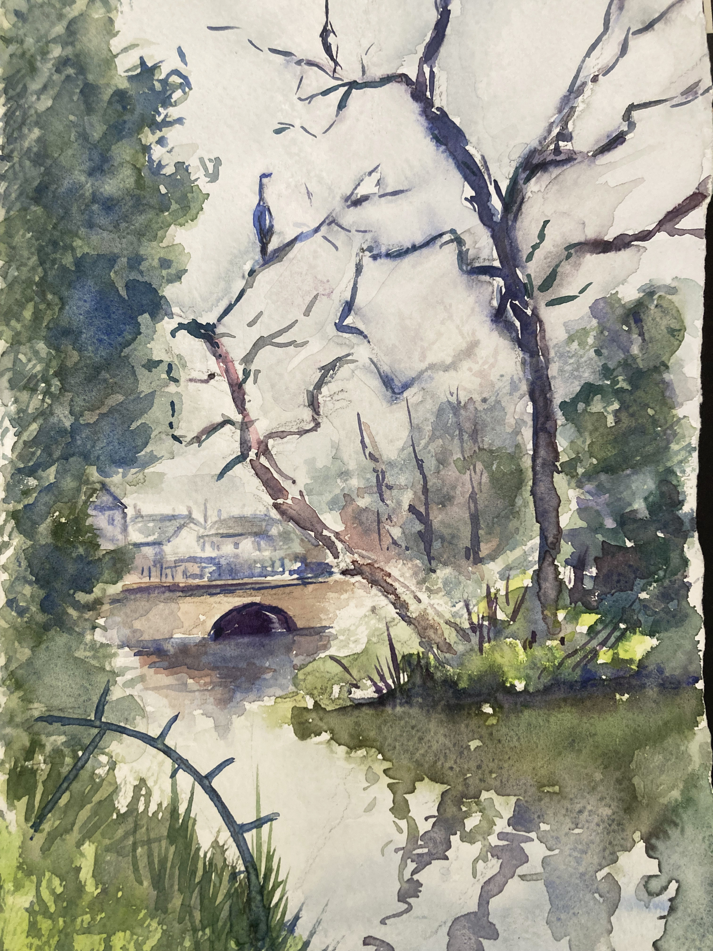 watercolour image of lake and trees