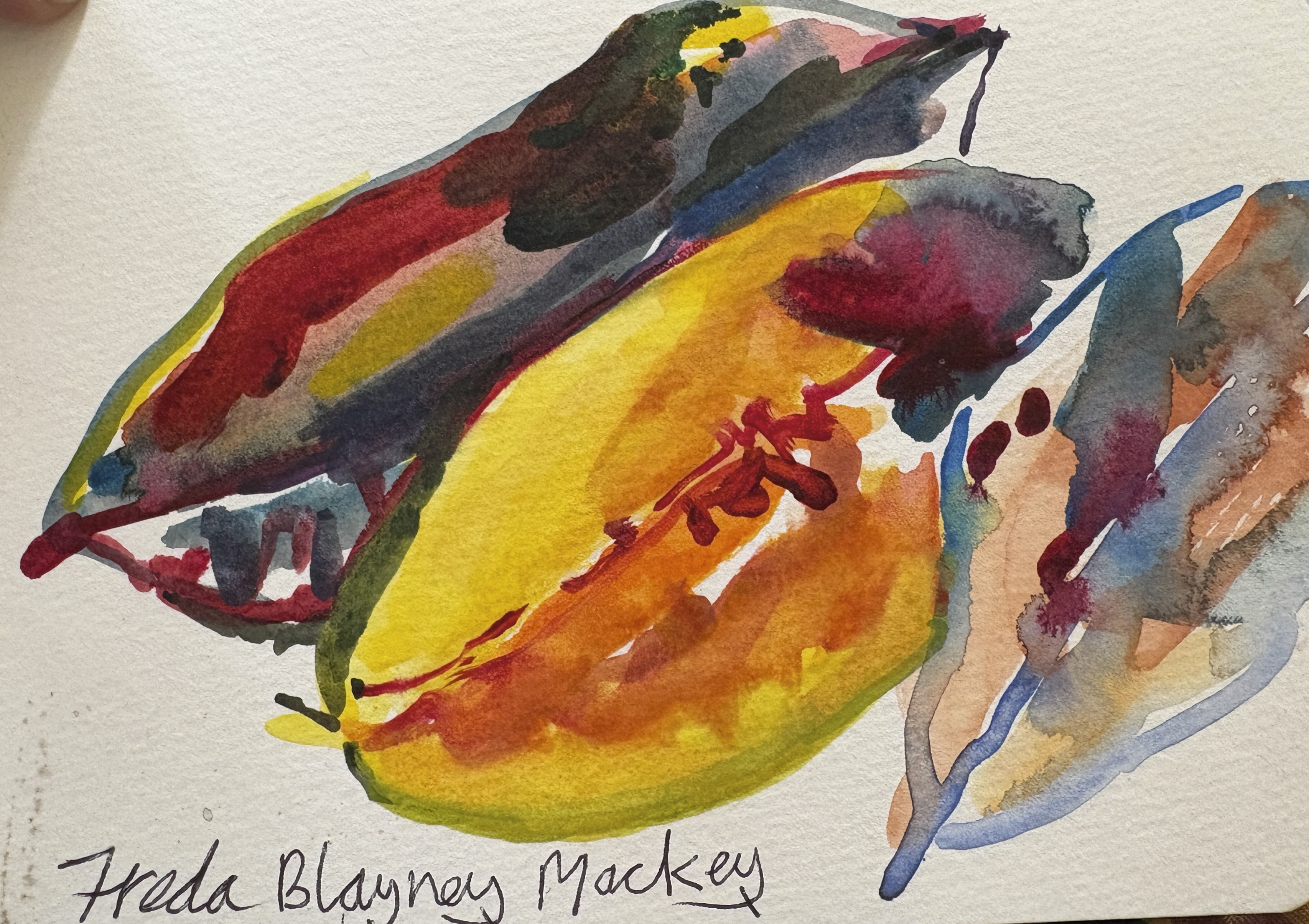 watercolour image of birds
