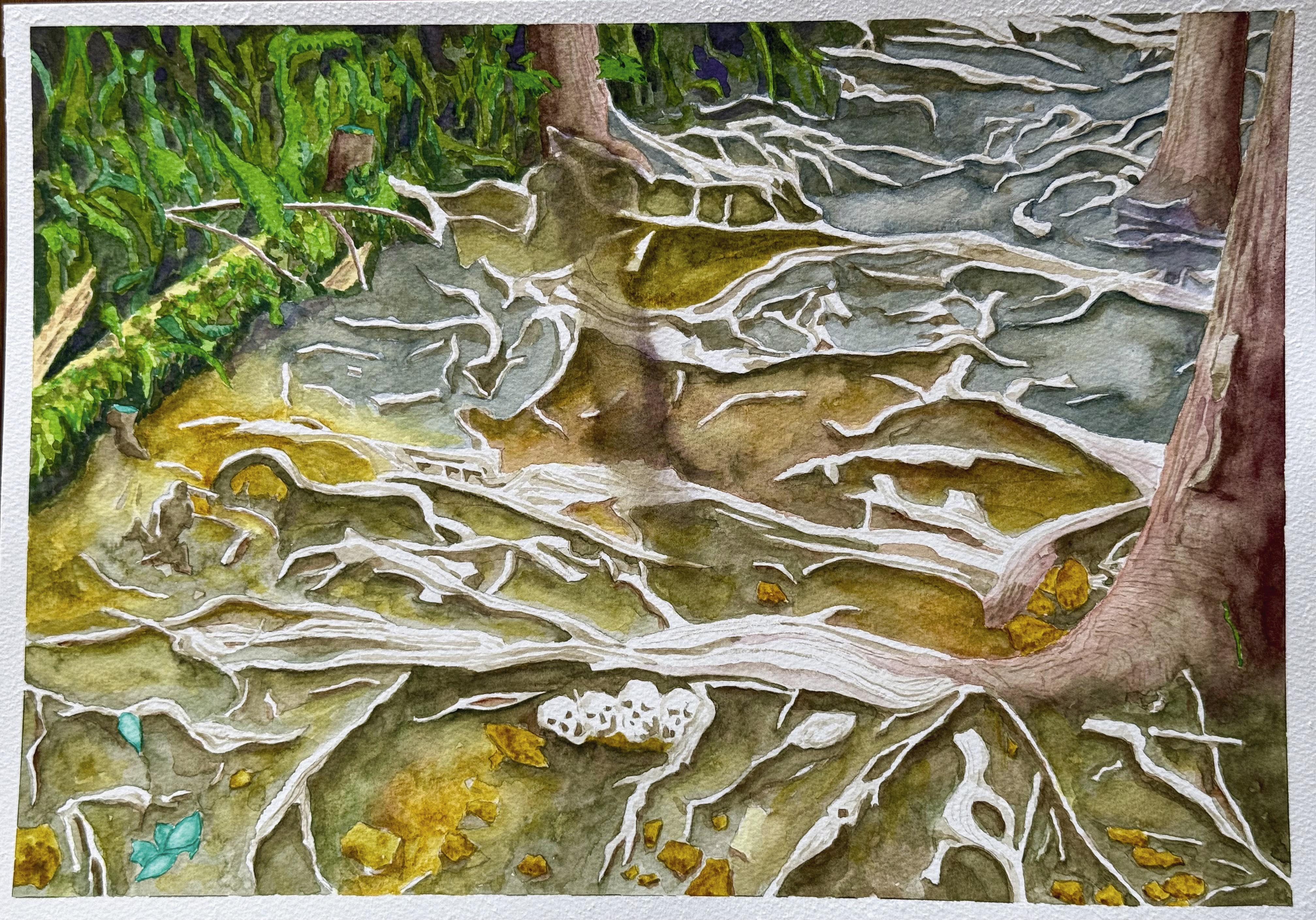 watercolour painting
