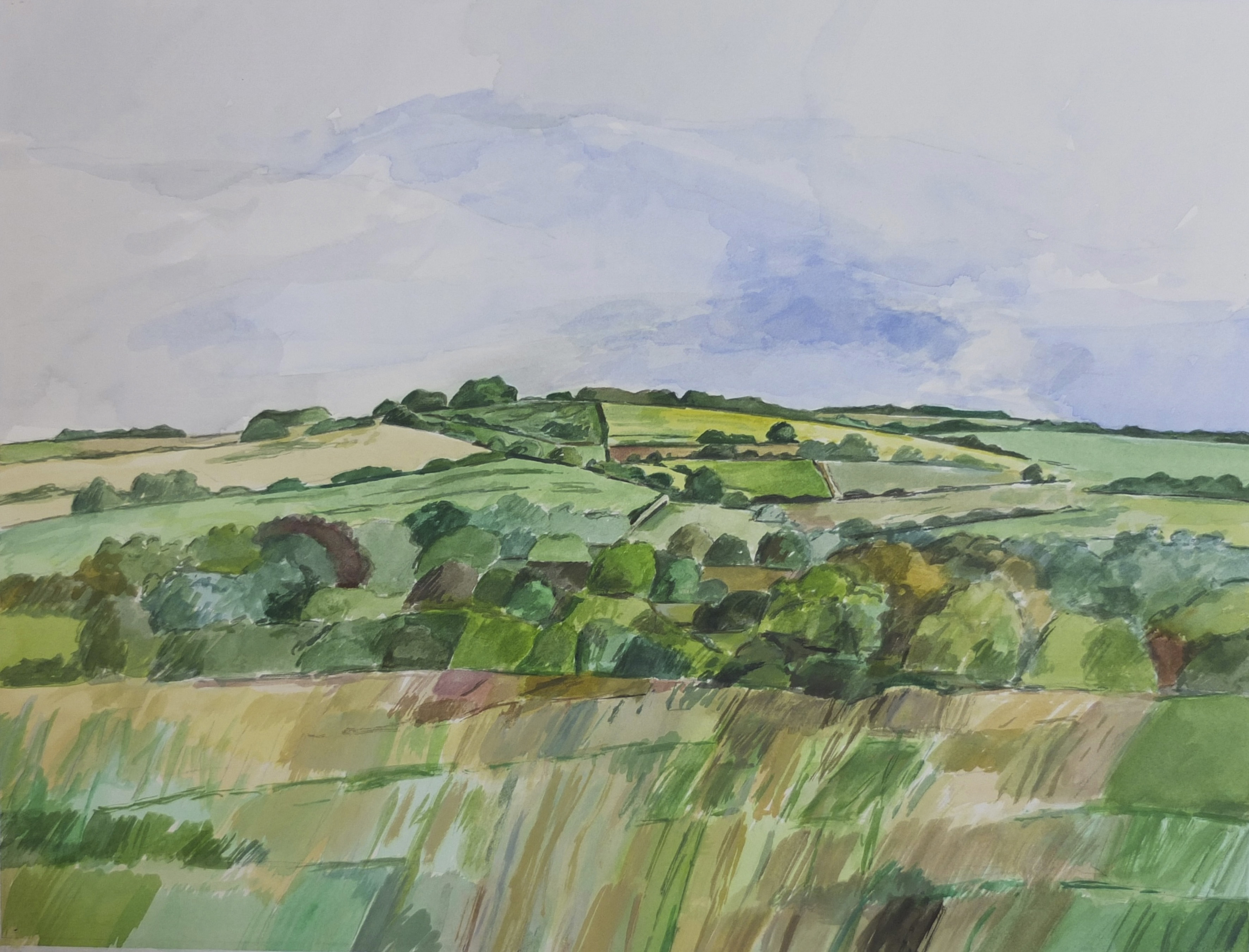 watercolour painting of green meadow