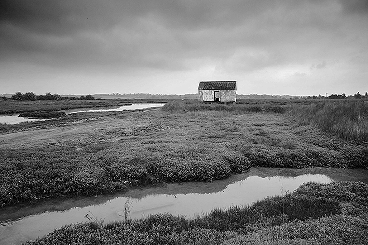 Black and white photo of a house in a field