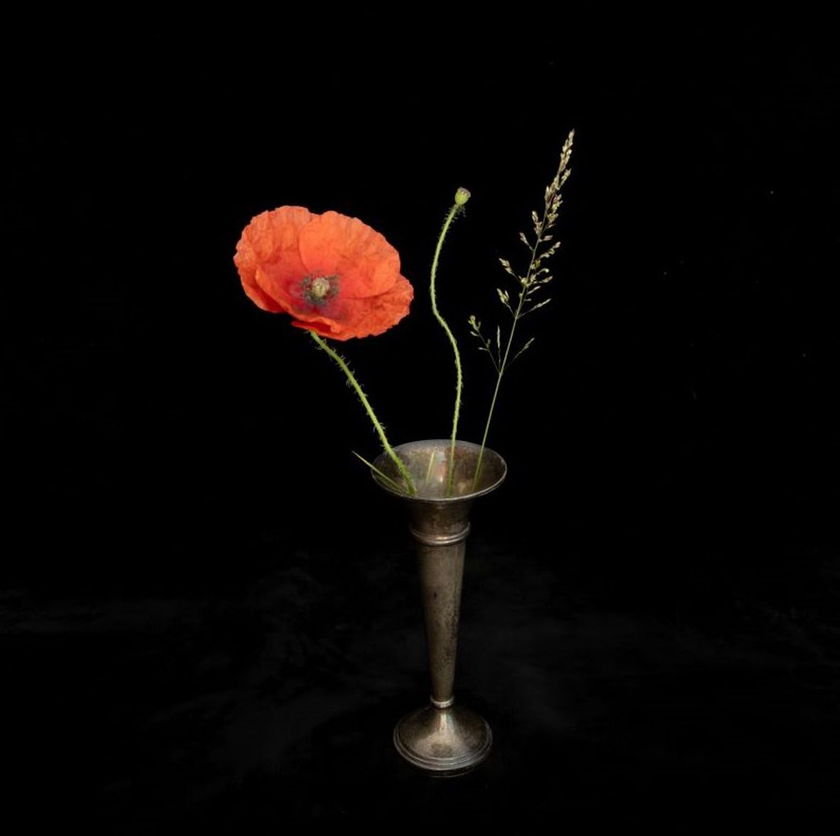 Photo of flower in bronze vase with red flower