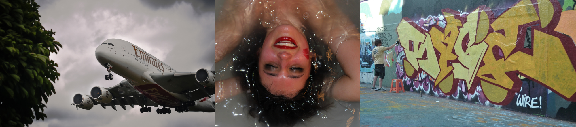 a selection of photographs from our young photographers competition