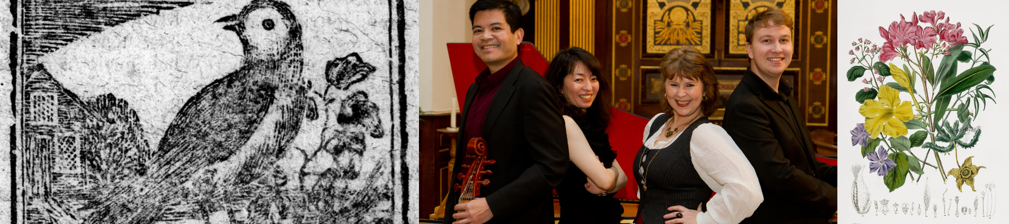 Linnet Baroque, their logo and a drawing by Elizabeth Twining