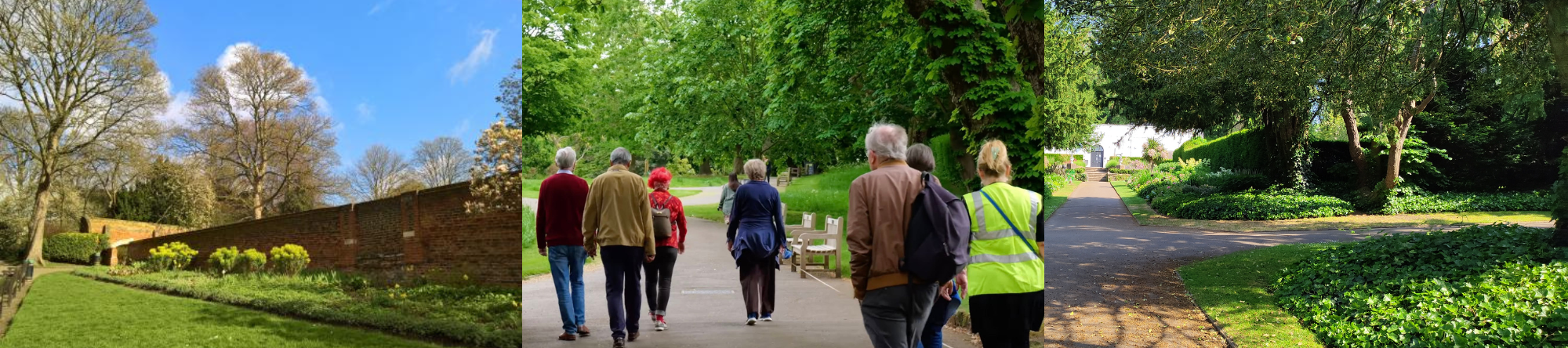 Walkers on a path in waterlow park