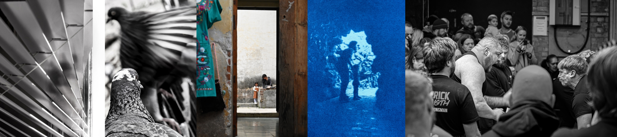Selection of photographs in the 2026 exhibition