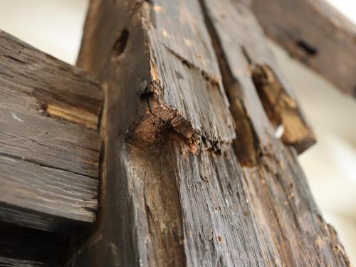 Close-up of beams