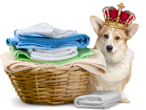 The Queen's Laundry website banner