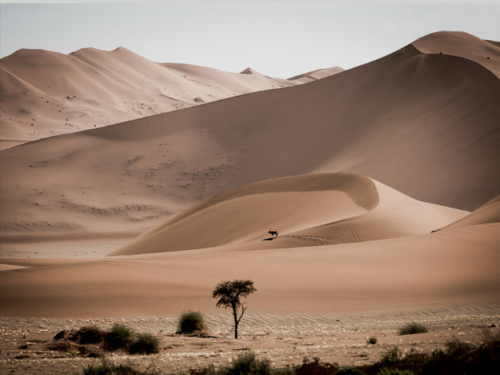 Hampstead Photo Soc Banner