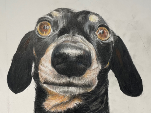 Mark Maier Exhibition