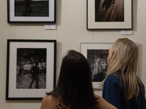 photo comp 2023