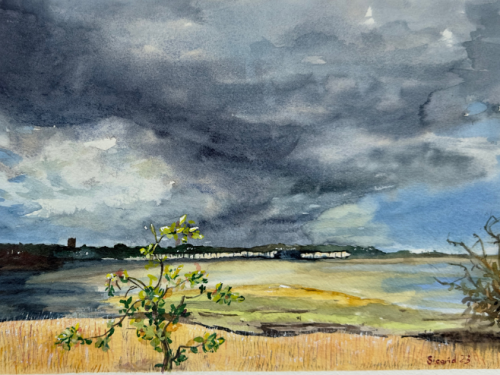 A selection of works by Siegrid Dawes