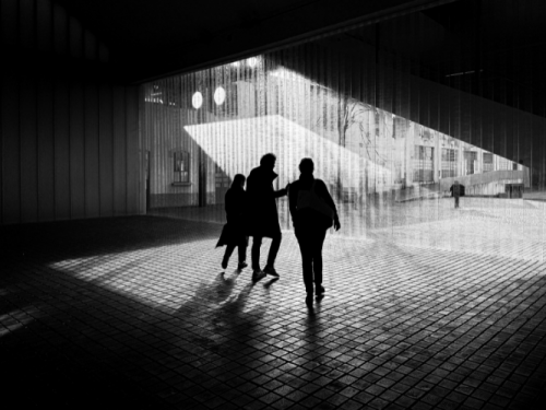 some of the 2025 photo comp finalists 