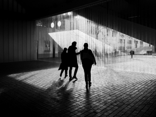 The 2025 photo comp winning photographs